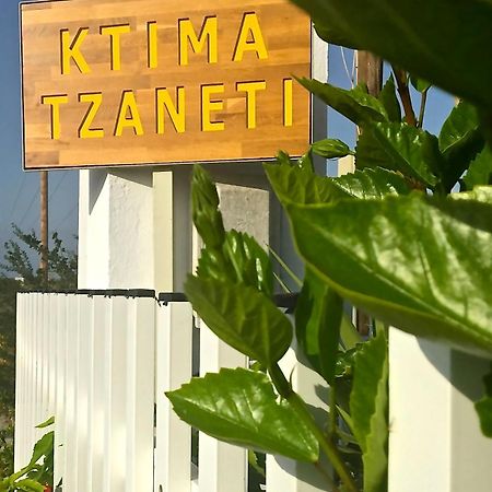 Ktima Tzaneti Βίλα Λαχανιά Εξωτερικό φωτογραφία