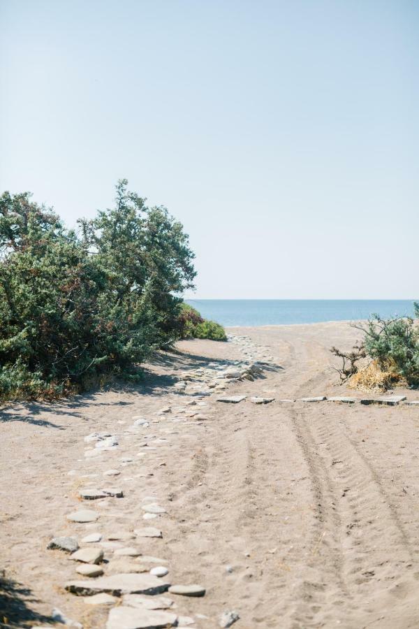 Ktima Tzaneti Βίλα Λαχανιά Εξωτερικό φωτογραφία