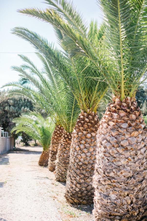 Ktima Tzaneti Βίλα Λαχανιά Εξωτερικό φωτογραφία